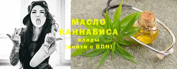 индика Мурманск
