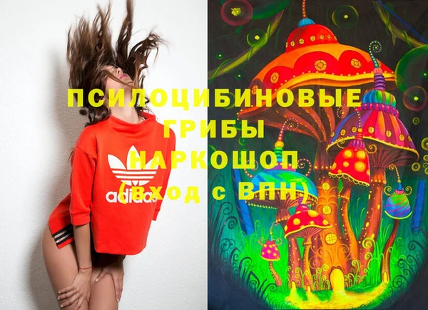 ПСИЛОЦИБИНОВЫЕ ГРИБЫ Покровск