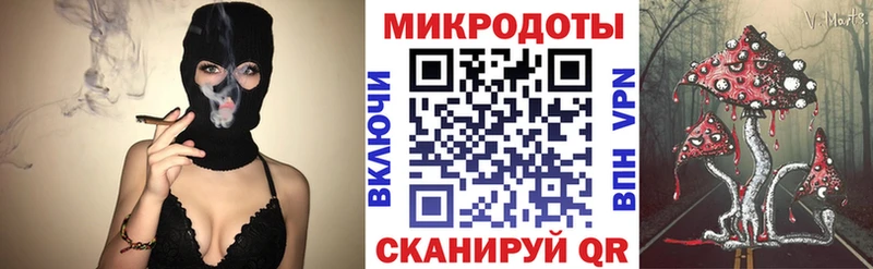 площадка клад  Томари  mega как войти  Псилоцибиновые грибы ЛСД  хочу  