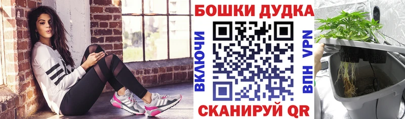 Каннабис семена  ссылка на мегу вход  Томари 